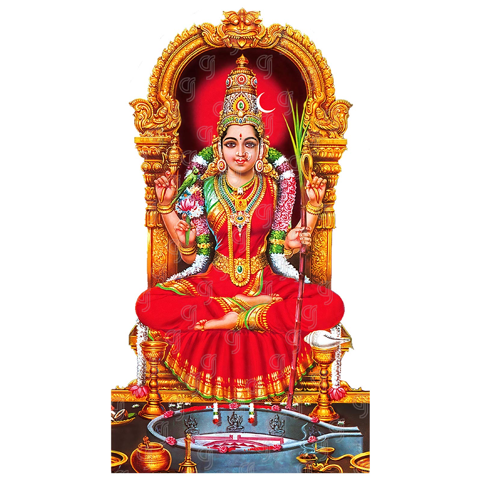 Kanchi Kamakshi showers blessings on all devotees